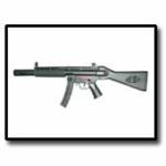 RAP5 SD5