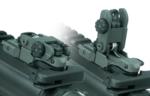 RIS Flip Up Rear Sight