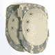 Knee Pads (ACU)