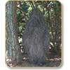 Ghillie Poncho